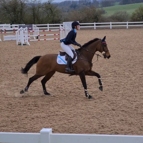 Competing At Chard Equestrian