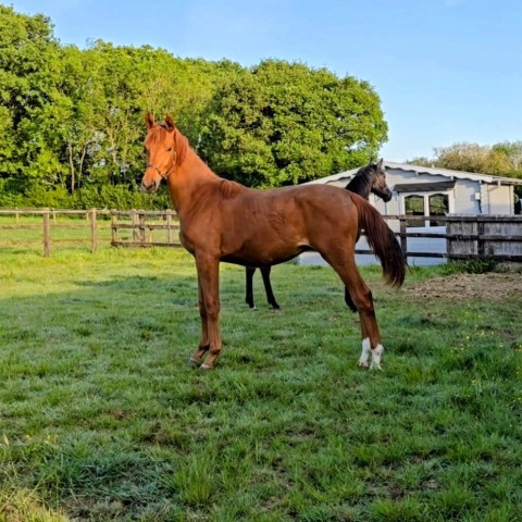 Happy 1st Birthday Zuko