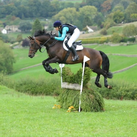 Little Gatcombe - BE Holly