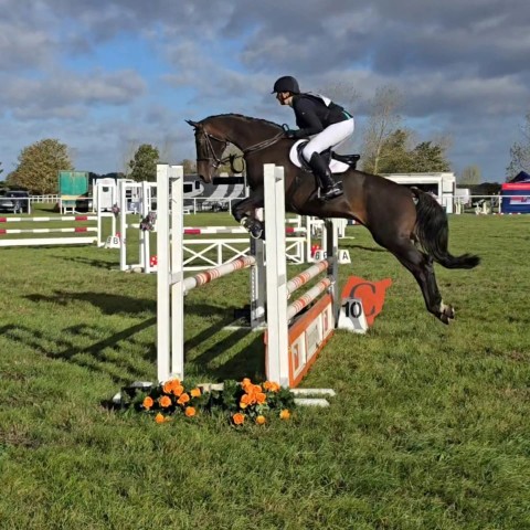 Little Downham - BE Holly