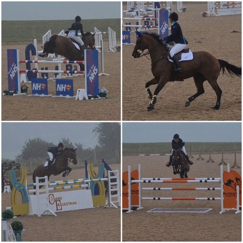Competing Chard Equestrian