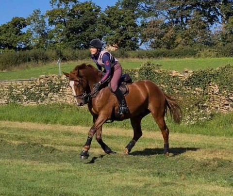 XC Schooling Toomer Farm With Red